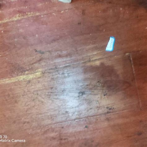 产品展示 完美体育